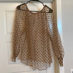 Sheer Polka Dot Blouse